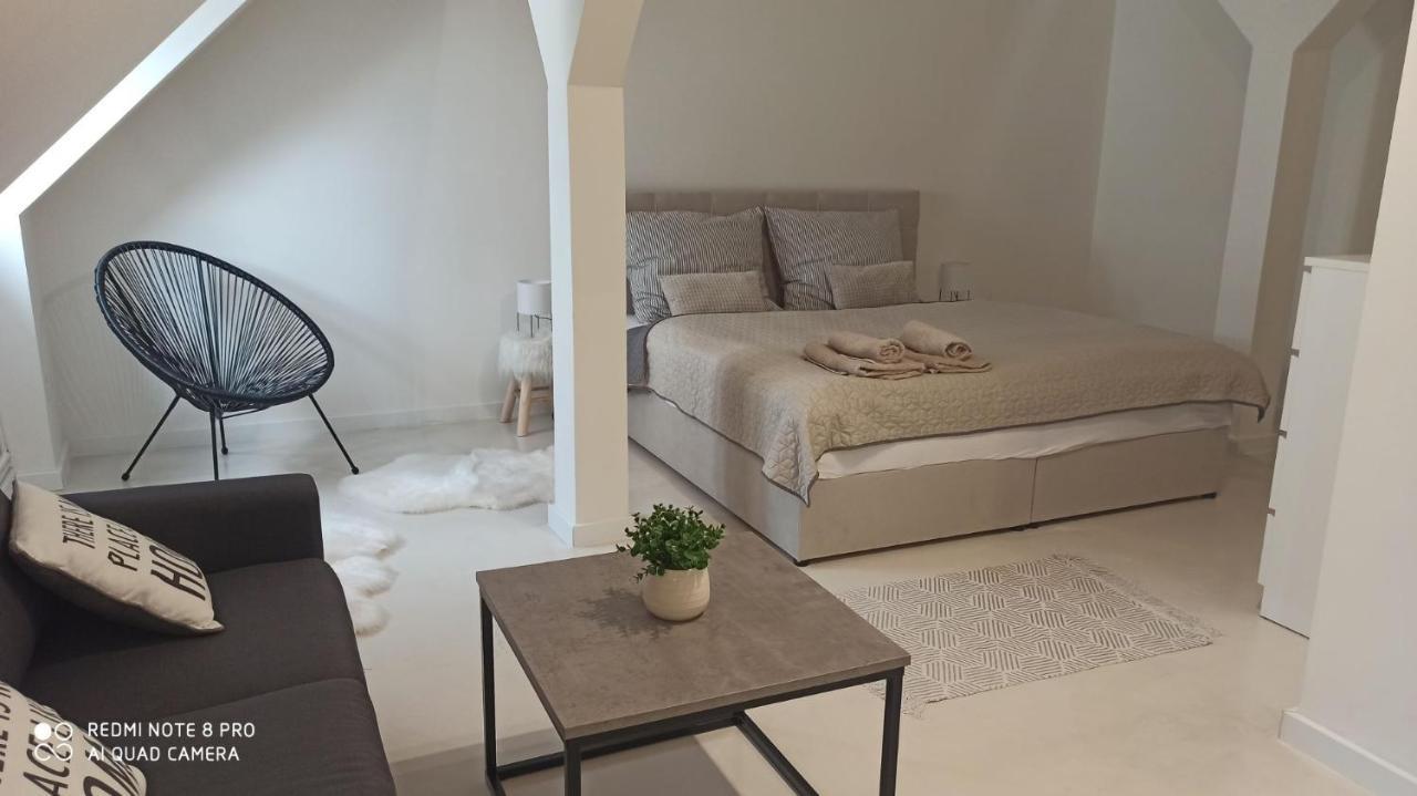 LitoměřiceU Zlate Hvezdy Apartman Jungmann公寓 外观 照片